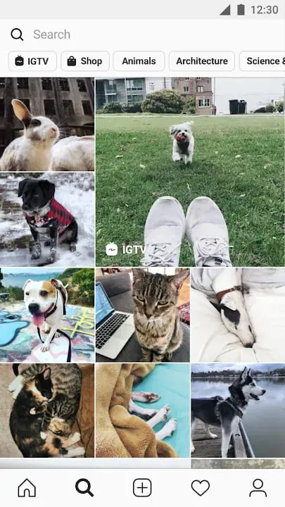 Download Instagram Pro MOD APK